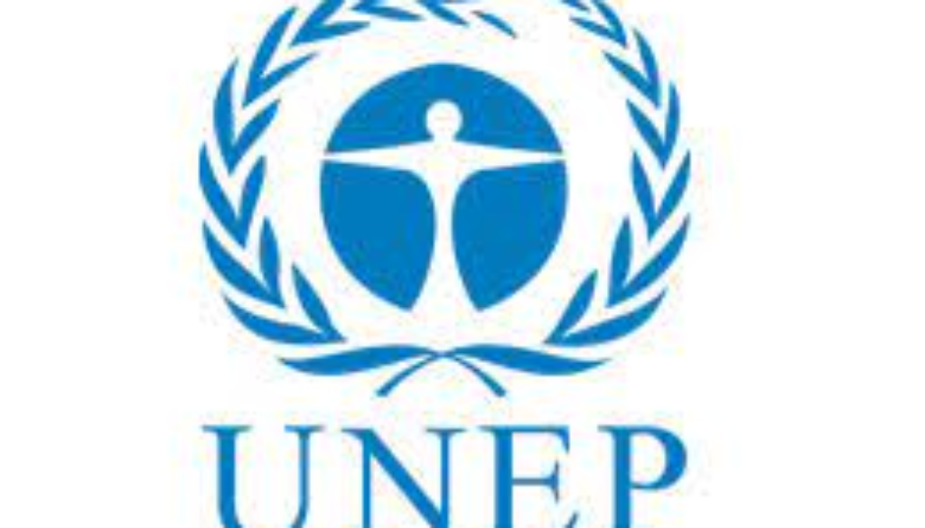 Programme Associate Vacancy Job Ref: VACUNEP7129-33