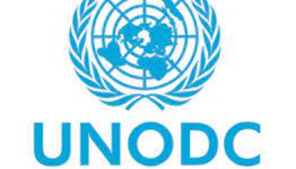 UNODC Logo Programme Management Officer Vacancy Job Ref: VACUNODC7129-23